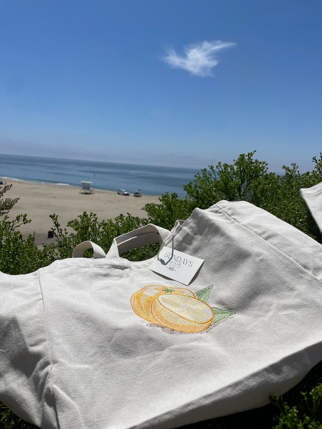 Fruit Tote Content Day at the Beach